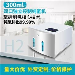 吸氢机  spe氢氧分离技术 H300-2双吸 高浓度品牌家用型氢气机