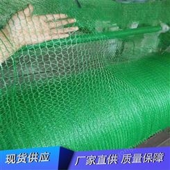 盖土网 柔韧性强延展性强网孔细密 防尘绿化环保复绿 同创化纤