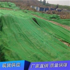 聚乙烯盖土网 绿色黑色遮阳网绿化扁丝盖土防尘网 工地专用