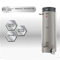 RHEEMGLAS 内胆 商用储水式 玖龙 电热水器 CEA400-60 欢迎采购