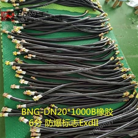 BNG-DN20*1000B防爆挠性连接管G3/4内外丝6分1米工业穿线管ExdII