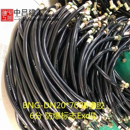 BNG-DN20*1000B防爆挠性连接管G3/4内外丝6分1米工业穿线管ExdII