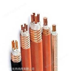 柔性矿物防火电缆生产厂家BTTRZ4X95+1X50龙岗线缆防火电缆价格