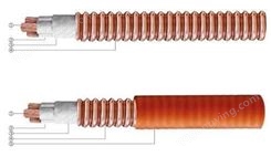 柔性矿物防火电缆生产厂家BTTRZ/YTTW3X10+1x6大旺龙岗线缆
