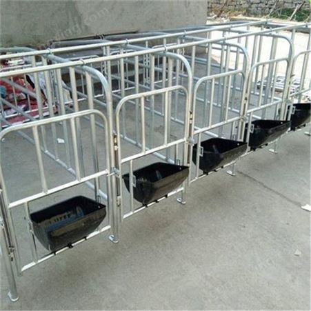 定位栏 热镀锌定位栏 猪用限位栏 福立畜牧现货供应
