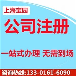 青浦区小微企业注册流程及费用 园区招商要那些条件-上海宝园