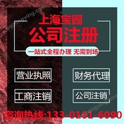 上海信息科技公司注册要多久才能办下来 信息科技公司注册常见问题-上海宝园
