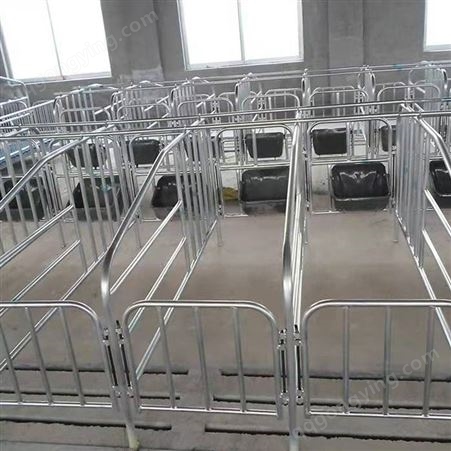 热镀锌定位栏 猪用落地定位栏 带食槽定位栏生产厂家 按时发货