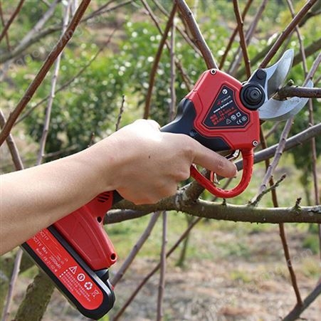 恒翔 修果树用电剪刀 锂电充电式剪子 园林修枝粗枝剪