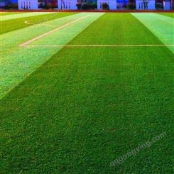 出售 三色草坪仿真草皮  楼顶装饰假草坪 幼儿园地毯草坪 欢迎