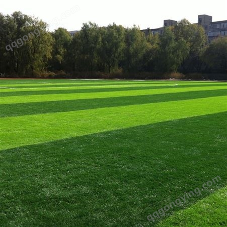 仿真草皮足球场幼儿园人工草坪地毯 塑料草皮人造假草皮防真草坪墙