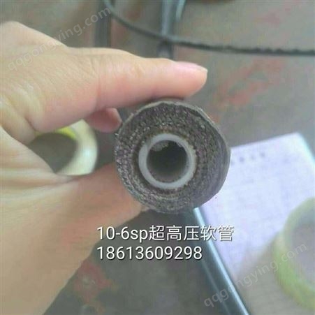 临沧 塑金属软管 接头软管 不锈钢软管 厂家定制 龙威