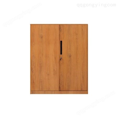 钢制木纹转印两门矮柜两抽钢制矮柜对开门矮柜两门储物柜可调节式两门矮柜