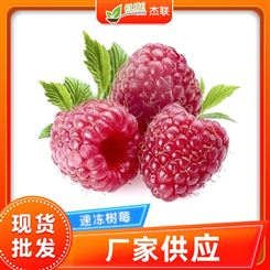 冷冻树莓 冰冻水果山抛子烘焙装饰 速冻山莓饮品 原料