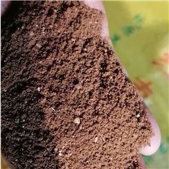 红枣粉 食品用红枣粉 供应枣颗粒 质量可靠