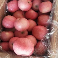 莱芜市价格合理 苹果 红富士苹果 新鲜水果 公司
