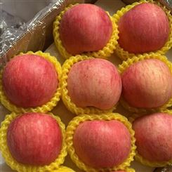 鹰潭市优质服务 苹果 红富士苹果 新鲜水果 批发