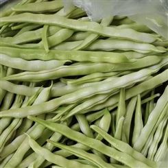 陇南市信誉保证芸豆批发 四季豆 新鲜蔬菜 规格