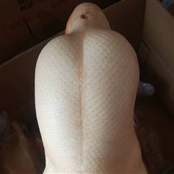北京烤鸭鸭胚鸭胚价格各个规格齐全全国配送冷冻净膛鸭